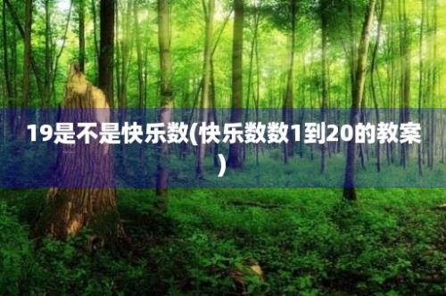 19是不是快乐数(快乐数数1到20的教案)