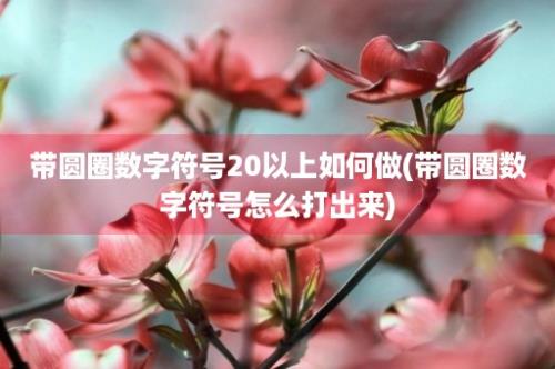 带圆圈数字符号20以上如何做(带圆圈数字符号怎么打出来)