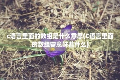 c语言里面的数组是什么意思(C语言里面的数组零意味着什么)