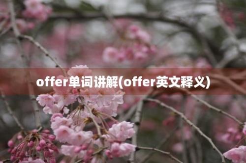 offer单词讲解(offer英文释义)