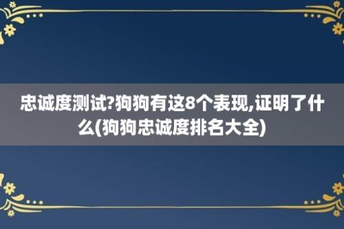 忠诚度测试?狗狗有这8个表现,证明了什么(狗狗忠诚度排名大全)