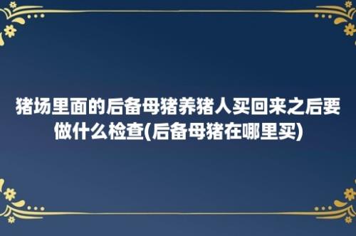 猪场里面的后备母猪养猪人买回来之后要做什么检查(后备母猪在哪里买)