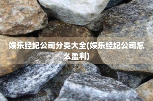 娱乐经纪公司分类大全(娱乐经纪公司怎么盈利)