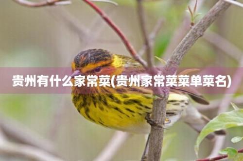 贵州有什么家常菜(贵州家常菜菜单菜名)