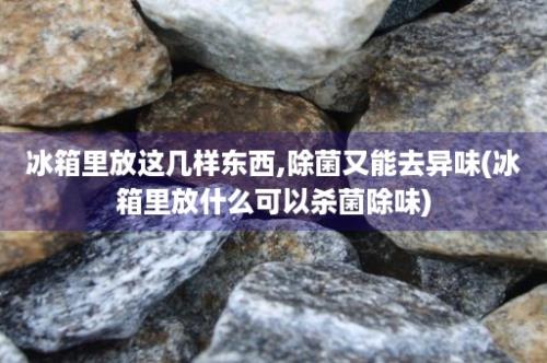 冰箱里放这几样东西,除菌又能去异味(冰箱里放什么可以杀菌除味)