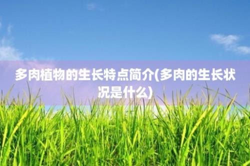 多肉植物的生长特点简介(多肉的生长状况是什么)