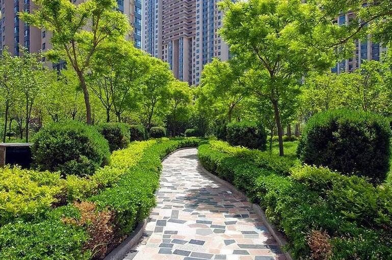 小区环境