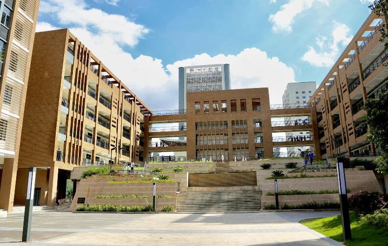 深圳外国语小学入学条件有哪些