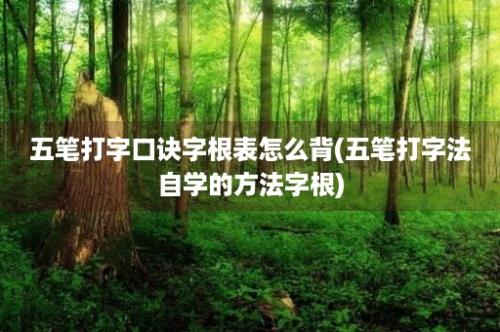 五笔打字口诀字根表怎么背(五笔打字法自学的方法字根)