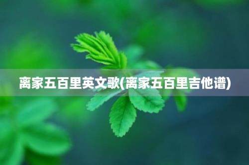 离家五百里英文歌(离家五百里吉他谱)