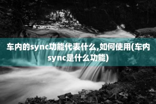 车内的sync功能代表什么,如何使用(车内sync是什么功能)