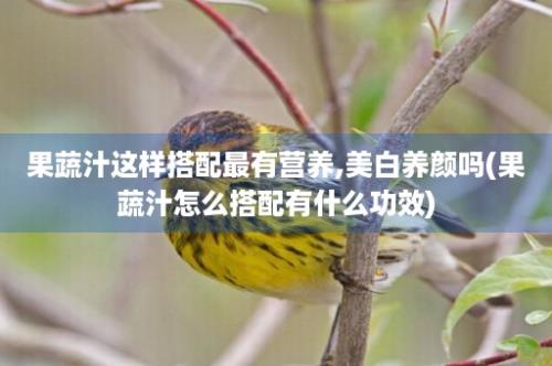 果蔬汁这样搭配最有营养,美白养颜吗(果蔬汁怎么搭配有什么功效)