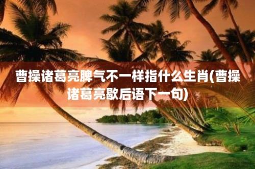 曹操诸葛亮脾气不一样指什么生肖(曹操诸葛亮歇后语下一句)