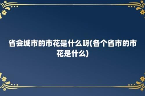 省会城市的市花是什么呀(各个省市的市花是什么)