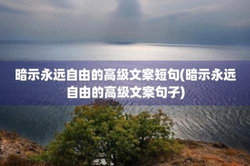 暗示永远自由的高级文案短句(暗示永远自由的高级文案句子)