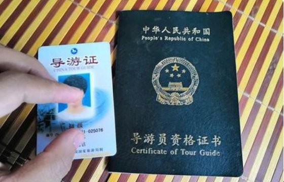 电子导游证怎么注册