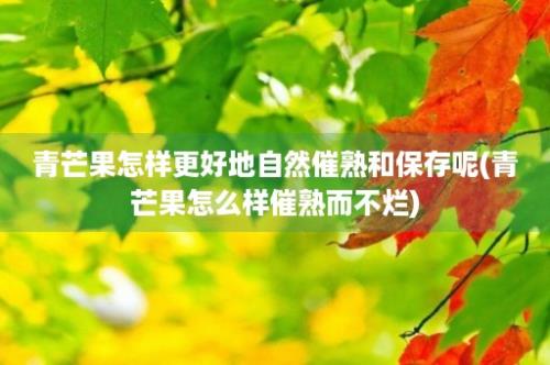 青芒果怎样更好地自然催熟和保存呢(青芒果怎么样催熟而不烂)