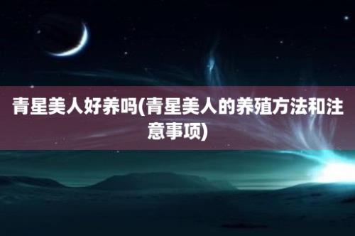 青星美人好养吗(青星美人的养殖方法和注意事项)