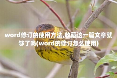 word修订的使用方法,收藏这一篇文章就够了吗(word的修订怎么使用)