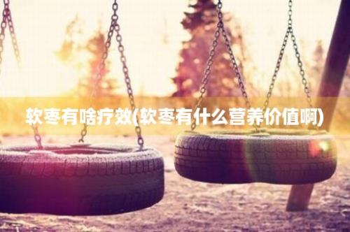 软枣有啥疗效(软枣有什么营养价值啊)