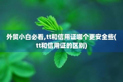 外贸小白必看,tt和信用证哪个更安全些(tt和信用证的区别)