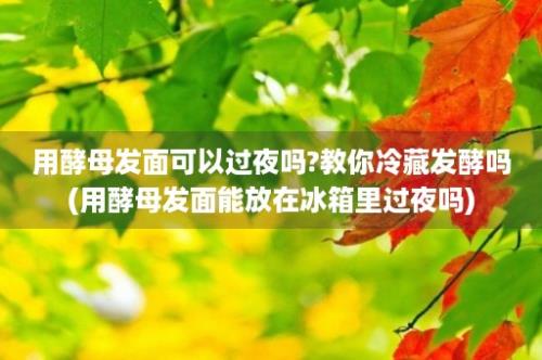 用酵母发面可以过夜吗?教你冷藏发酵吗(用酵母发面能放在冰箱里过夜吗)