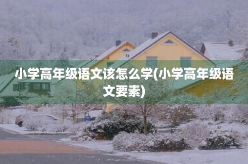 小学高年级语文该怎么学(小学高年级语文要素)