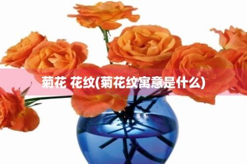 菊花 花纹(菊花纹寓意是什么)