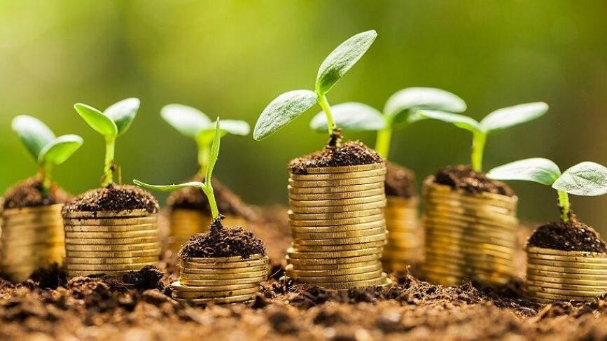 基金可以看到实时涨跌吗