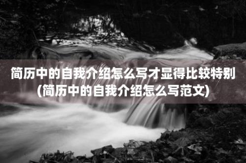 简历中的自我介绍怎么写才显得比较特别(简历中的自我介绍怎么写范文)