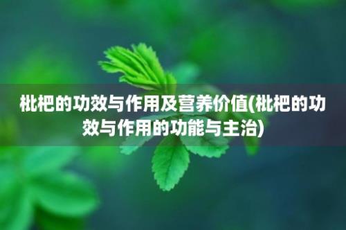 枇杷的功效与作用及营养价值(枇杷的功效与作用的功能与主治)