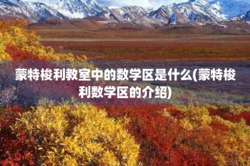 蒙特梭利教室中的数学区是什么(蒙特梭利数学区的介绍)