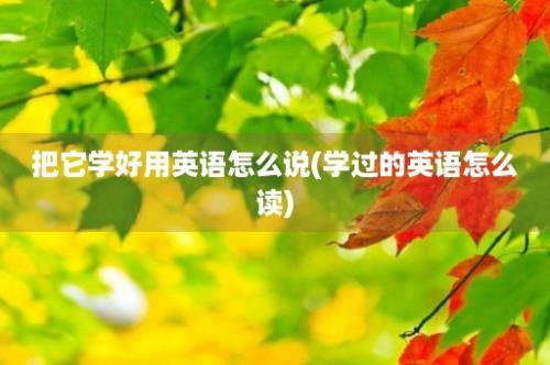 把它学好用英语怎么说(学过的英语怎么读)