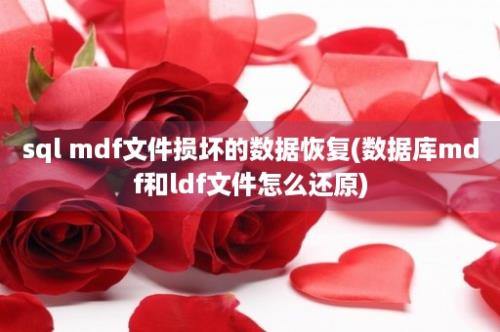 sql mdf文件损坏的数据恢复(数据库mdf和ldf文件怎么还原)