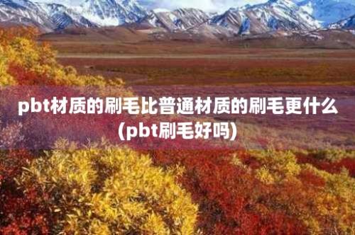 pbt材质的刷毛比普通材质的刷毛更什么(pbt刷毛好吗)