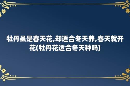 牡丹虽是春天花,却适合冬天养,春天就开花(牡丹花适合冬天种吗)