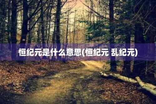 恒纪元是什么意思(恒纪元 乱纪元)