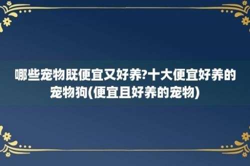 哪些宠物既便宜又好养?十大便宜好养的宠物狗(便宜且好养的宠物)