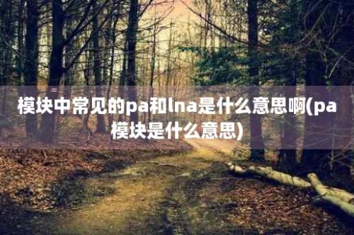 模块中常见的pa和lna是什么意思啊(pa模块是什么意思)