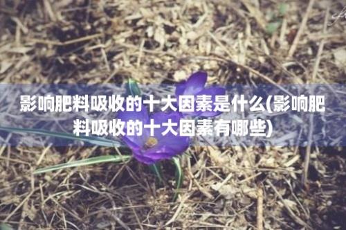 影响肥料吸收的十大因素是什么(影响肥料吸收的十大因素有哪些)