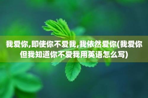 我爱你,即使你不爱我,我依然爱你(我爱你但我知道你不爱我用英语怎么写)