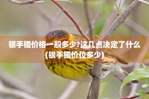 银手镯价格一般多少?这几点决定了什么(银手镯价位多少)