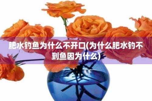 肥水钓鱼为什么不开口(为什么肥水钓不到鱼因为什么)