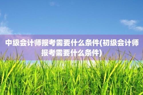 中级会计师报考需要什么条件(初级会计师报考需要什么条件)