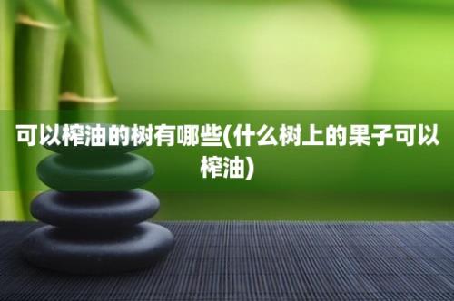 可以榨油的树有哪些(什么树上的果子可以榨油)