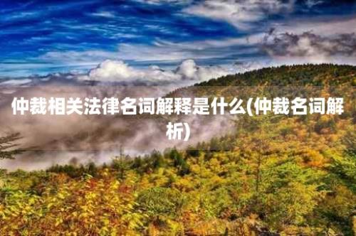 仲裁相关法律名词解释是什么(仲裁名词解析)