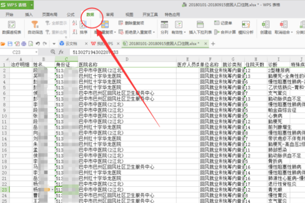 wps表格数据分析在哪