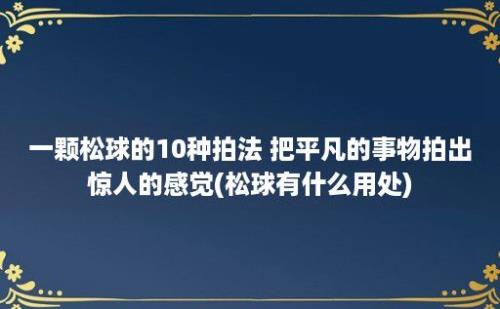 一颗松球的10种拍法 把平凡的事物拍出惊人的感觉(松球有什么用处)