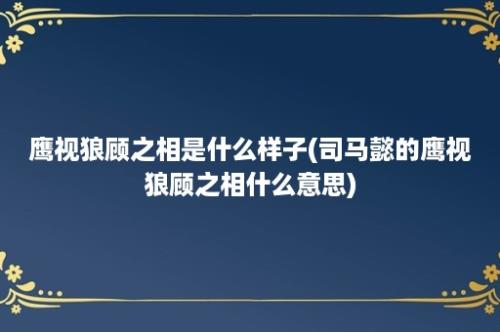 鹰视狼顾之相是什么样子(司马懿的鹰视狼顾之相什么意思)