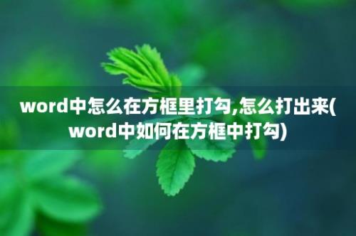 word中怎么在方框里打勾,怎么打出来(word中如何在方框中打勾)